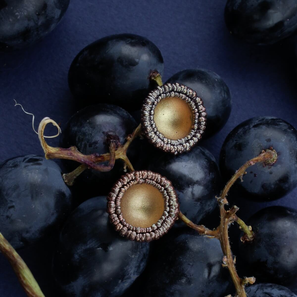 Microevolution kollektsiooni vaskse keskosaga kullatoonides kõrvarõngad viinamarjade taustal | Katrin Veegen